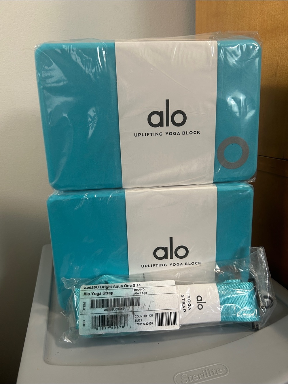 alo Yoga Blocks and Strap
